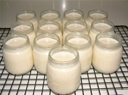 Cách làm sữa chua dẻo mịn tại nhà từ những nguyên liệu đơn giản