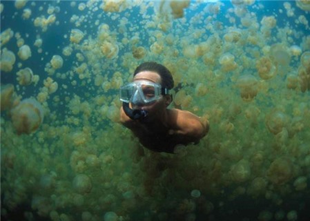 Top 10 điểm lặn biển ấn tượng nhất thế giới