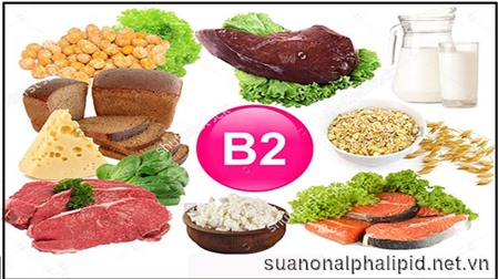 7 nguồn thực phẩm dồi dào vitamin B2