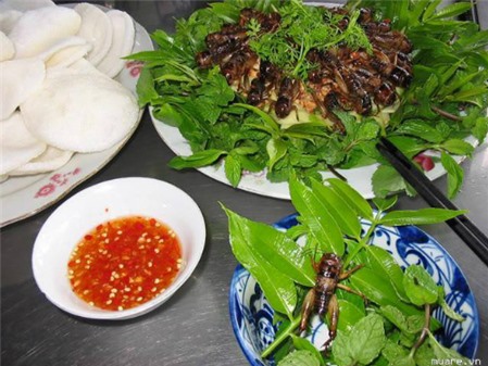 10 món đặc sản Việt làm bạn thấy khiếp đảm